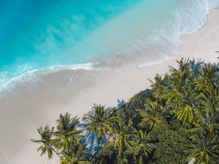 Tropischer Strand auf den Malediven mit Palmen und türkisem Wasser – BuddySIM eSIM