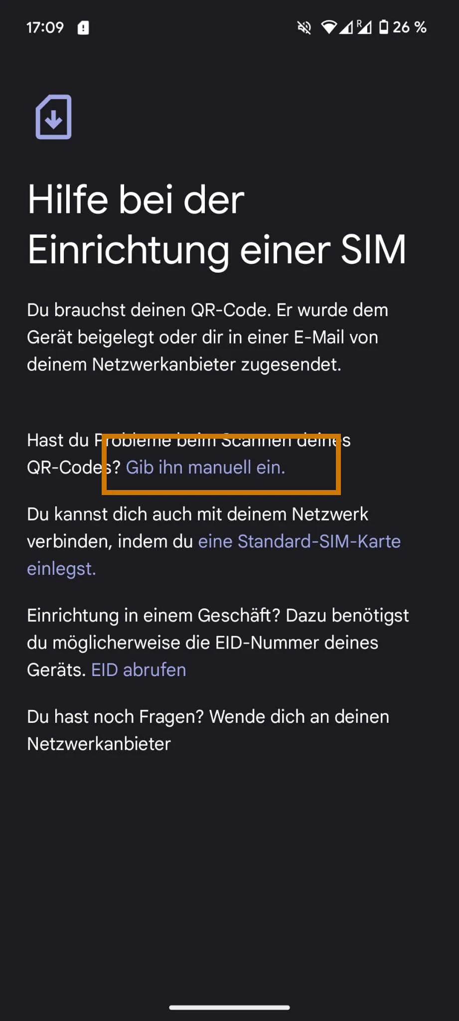 eSIM manuell aktivieren auf Google Pixel 4 – Anleitung – BuddySIM